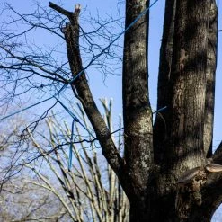 Teufelberger Sta-Set Rigging