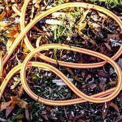 Teufelberger Braided Safety Blue Hi-Visibility Climbing Ropes