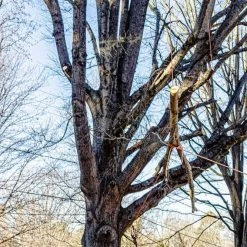 Teufelberger Braided Safety Blue Hi-Visibility Climbing Ropes