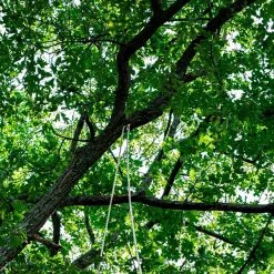 Teufelberger DrenaLINE Climbing Rope 21 Teufelberger DrenaLINE Climbing Rope