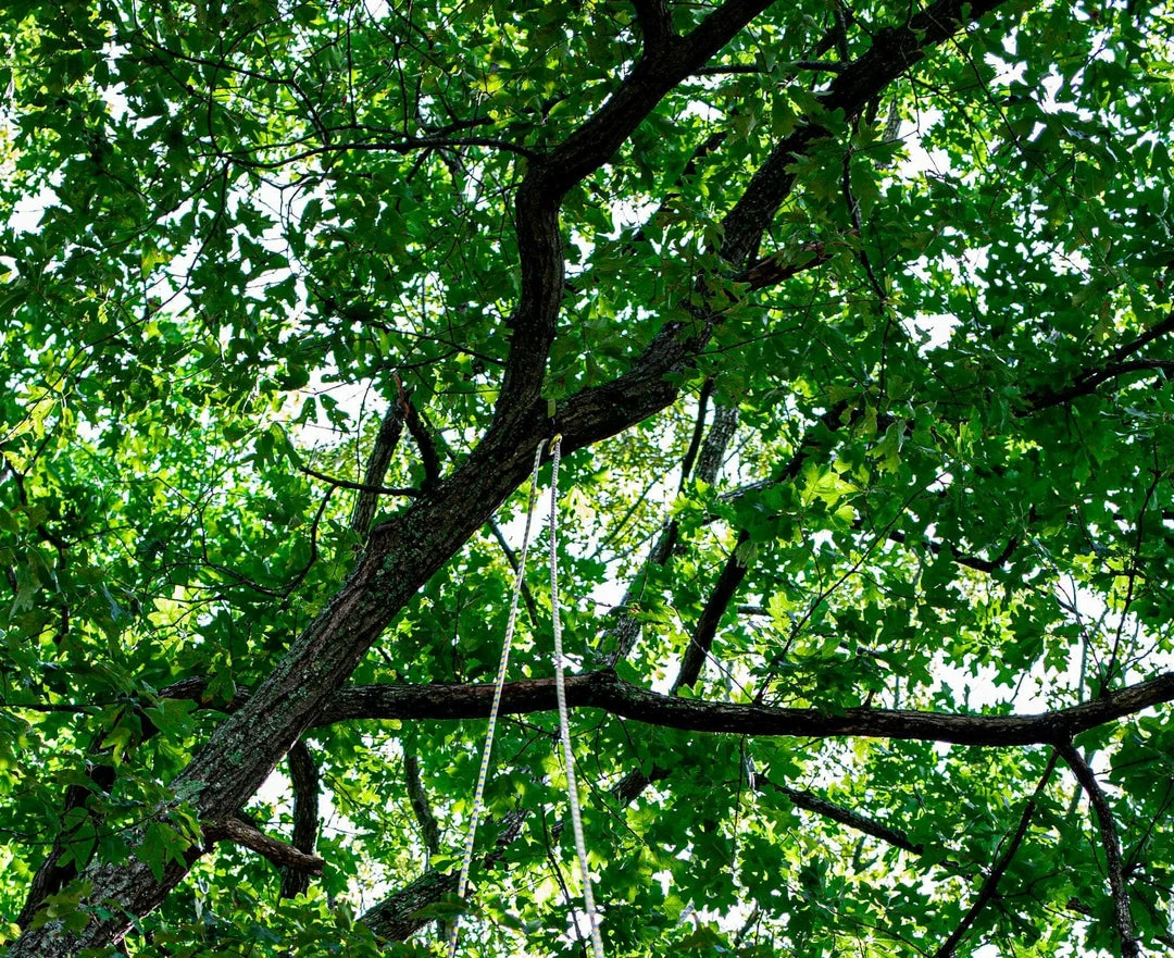 Teufelberger DrenaLINE Climbing Rope 11 Teufelberger DrenaLINE Climbing Rope