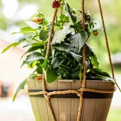 SGT KNOTS Hollow Braided ProManila