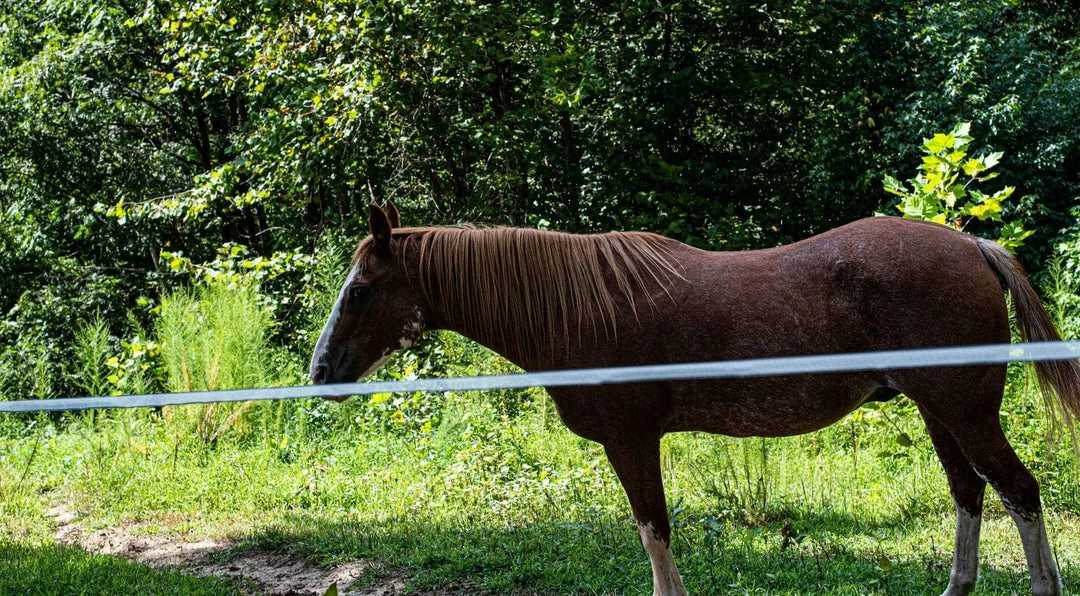 SGT KNOTS Electric Fence Tape Rope 8 SGT KNOTS Electric Fence Tape Rope