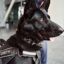 SGT KNOTS SgtKnots® Mil-Spec Bonded Nylon Sewing Thread 21 SGT KNOTS SgtKnots® Mil-Spec Bonded Nylon Sewing Thread