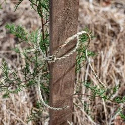 SGT KNOTS Supply Co Natural Grass Cord (24-Pack)