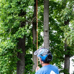 SGT KNOTS Supply Co Arborist Rope Polyethylene Throw Line-1/8