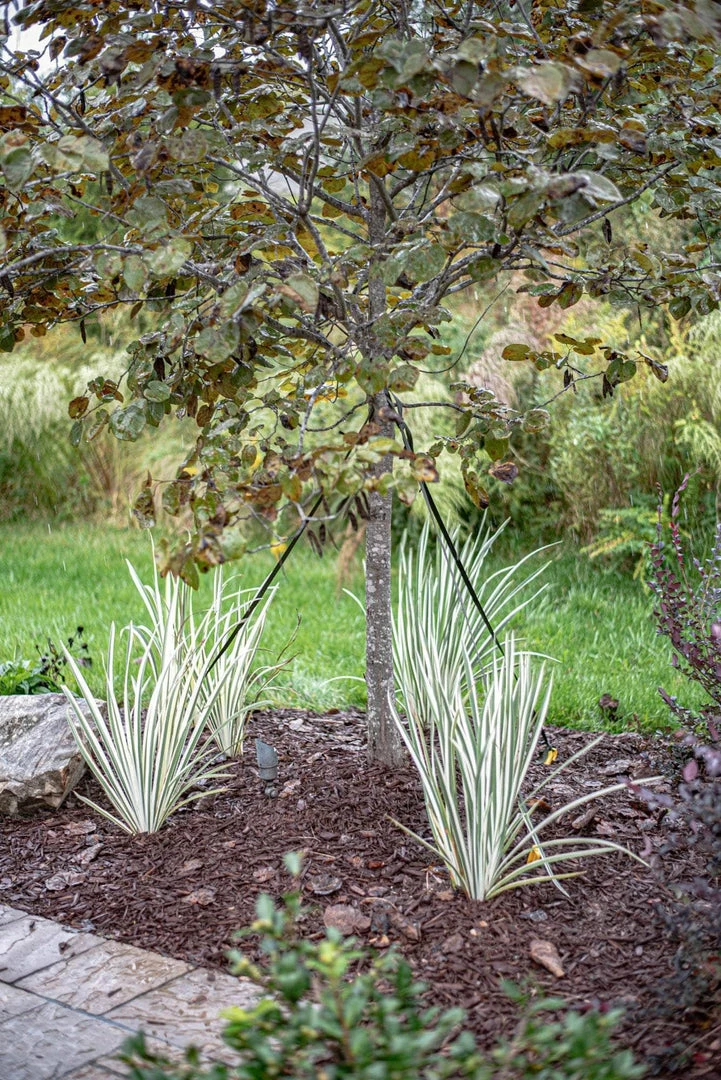 SGT KNOTS Arbor Webbing And Stakes 6 SGT KNOTS Arbor Webbing And Stakes