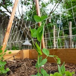 SGT KNOTS Cotton Pea Twine 7 SGT KNOTS Cotton Pea Twine