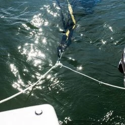 SGT KNOTS Twisted Nylon Rope 69 SGT KNOTS Twisted Nylon Rope