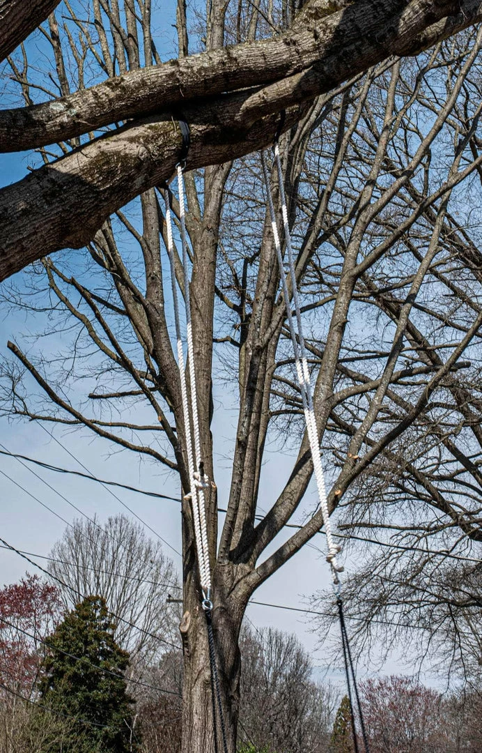 SGT KNOTS Twisted Polyester Dacron Rope 21 SGT KNOTS Twisted Polyester Dacron Rope