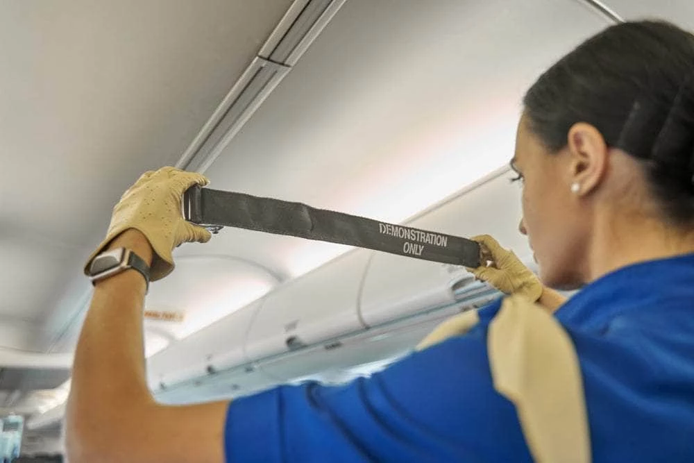 SGT KNOTS Seat Belt Webbing 8 SGT KNOTS Seat Belt Webbing