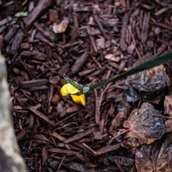 SGT KNOTS Polyester Flat Rope