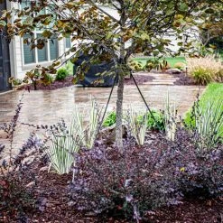 SGT KNOTS Polyester Flat Rope